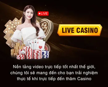 Chương Trình VIP và Quyền Lợi Độc Quyền